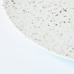 White Granite  Mino Ware Flat Plate